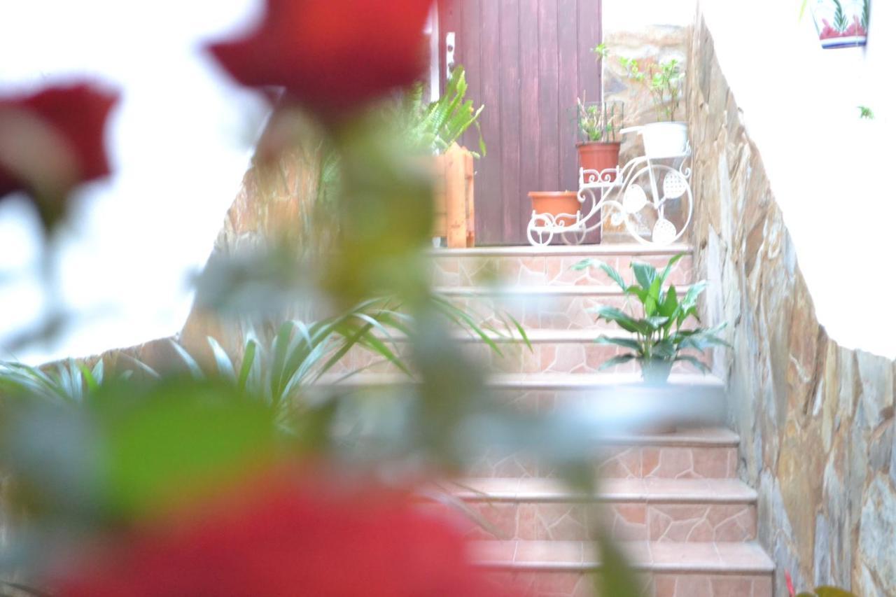 Casa Alamo Agaete Hotel อากาเอเต ภายนอก รูปภาพ