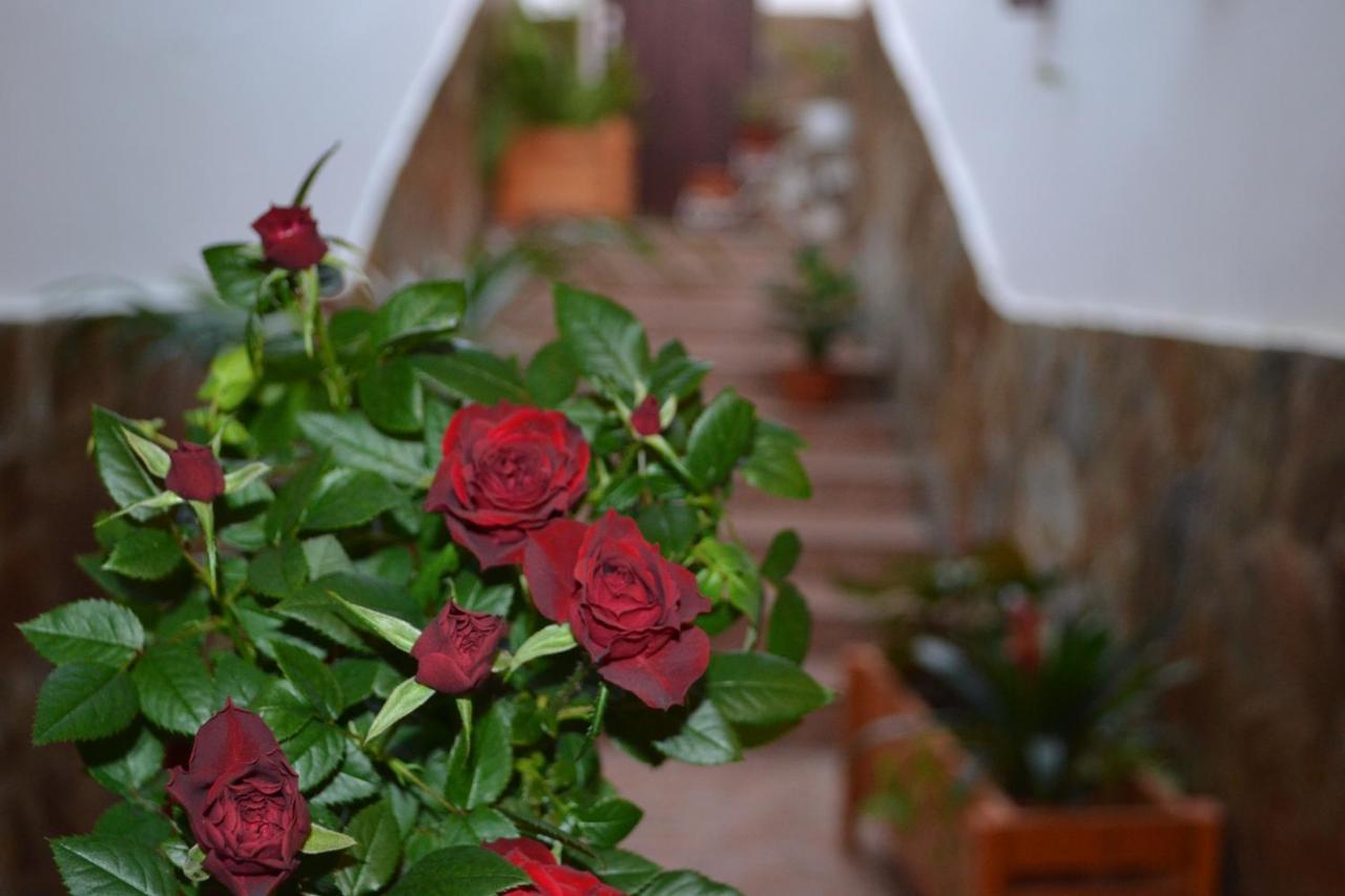 Casa Alamo Agaete Hotel อากาเอเต ภายนอก รูปภาพ